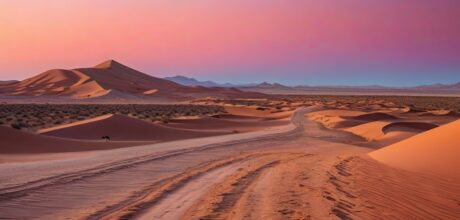 Exploring Ancient Trade Routes Cultural Impact
